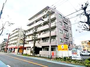 ドムール江古田